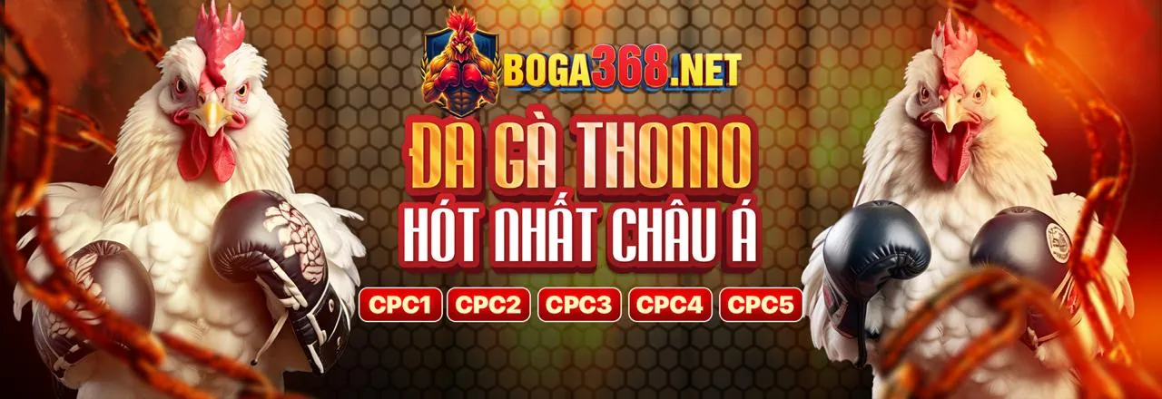 Cá cược Esports 5mb link